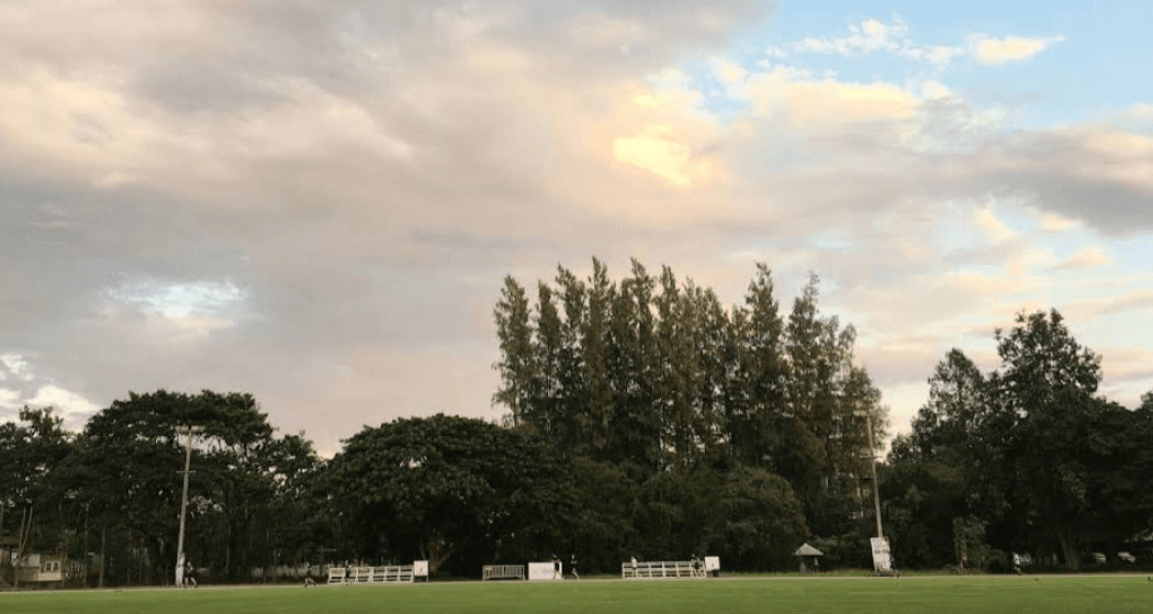 Payap field panorama