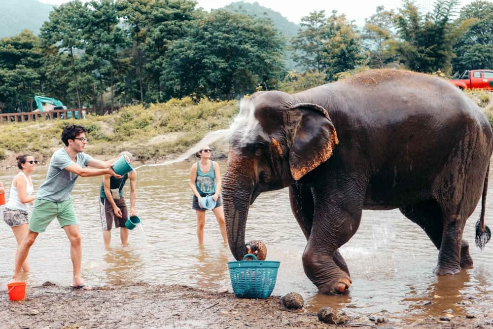 Unforgettable Encounters